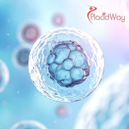 Regenerative Stem Cell Programs in Thailand for US Seniors